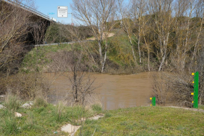 Imagen del río Duero a su paso por Herrera de Duero. -J.M. LOSTAU.