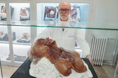 Juan Francisco Pastor posa junto a una recreación anatómica. -J. M. LOSTAU