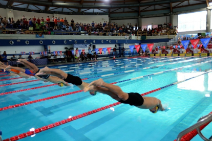 IV Campeonato de España de Distancias Cortas de Salvamento y Socorrismo. / M. ÁLVAREZ