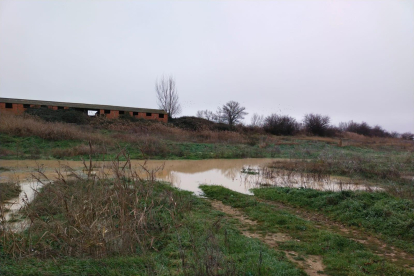 Efectos en el campo de una de las averías que ha sufrido la tubería del riego en Valladolid - COMUNIDAD DE REGANTES CANAL MACÍAS PICAVEA