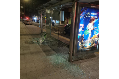 Marquesina de una parada de autobús rota a pedradas en la calle Cigüeña - POLICIA MUNICIPAL