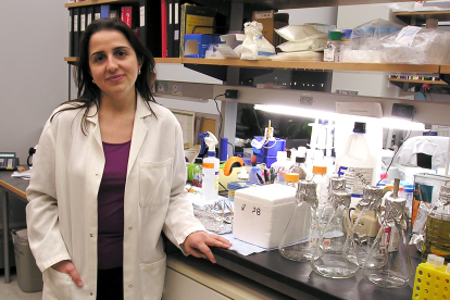La vallisoletana Eva Hernando Monge es profesora en la Universidad de Nueva York y directora de laboratorio del Departamento de Patología asociado al NYU Cancer Institute. ICAL