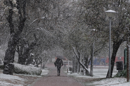 Nieve en la ciudad de Valladolid.- ICAL