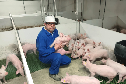 Un trabajador de Juan Ramón Sastre posa en su explotación porcina de Caleruega