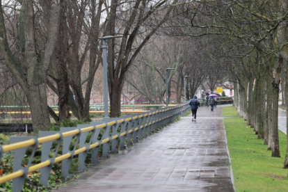 Zona del Paseo del Cauce, junto al campus universitario, en el que se cometió la agresión sexual