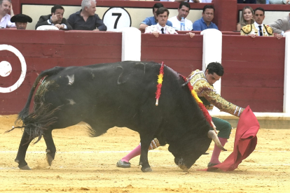 Corrida de toros en la plaza del coso de Zorrilla