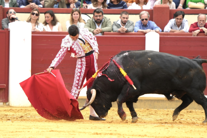 Corrida de toros en el coso de Zorrilla