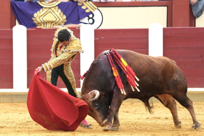 Corrida de toros en el coso de Zorrilla