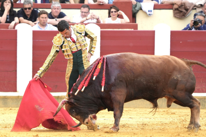 Corrida de toros en el coso de Zorrilla