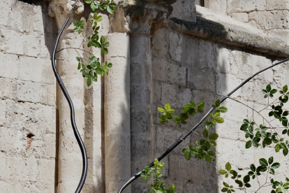 Actuación de Claire Ducreux, con el espectáculo ‘Fleurir les abîmes’, en las ruinas de la Colegiata Santa María La Mayor dentro de la 25 edición del Festival Internacional de Teatro y Artes de Calle