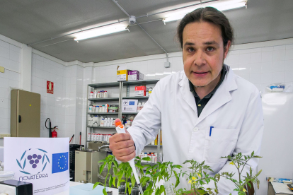 Gonzalo Sacristán Pérez Minayo, director del proyecto Novaterra en la UBU.