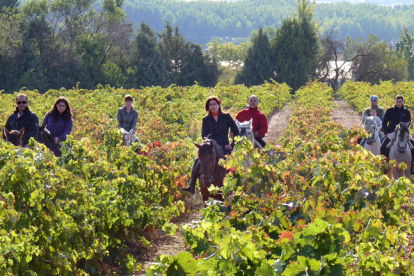 Rutas a caballo entre viñedos