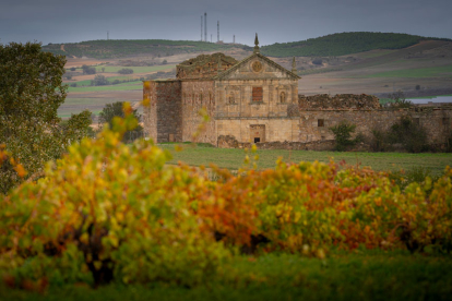 La Ruta del Vino de Zamora es el lugar ideal para disfrutar de espacios perfectamente conservados que mantienen la esencia del pasado, territorios únicos envueltos de gran cultura enológica y exquisita gastronomía