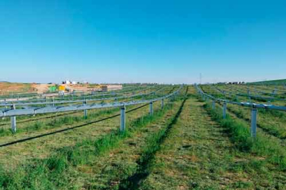 Plantación del proyecto fotovoltaico Erica