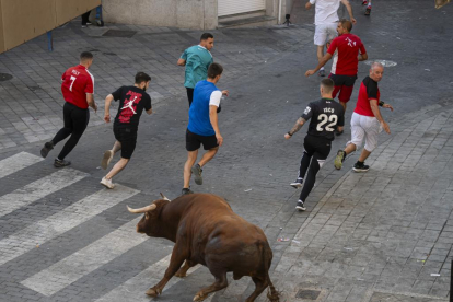 Encierro de reses bravas en Íscar