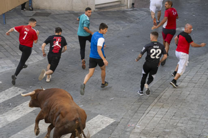 Encierro de reses bravas en Íscar