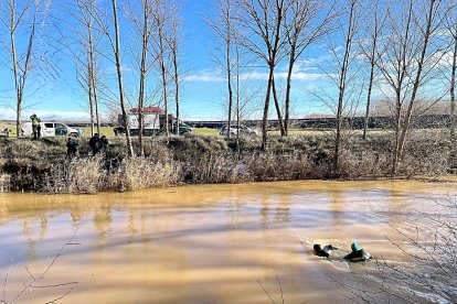 La Guardia Civil recupera el cadáver de una mujer que se ahogó en un río de Palencia el pasado año. GUARDIA CIVIL