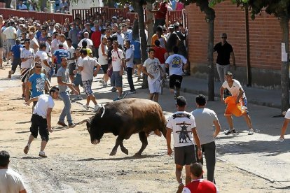 Celebración de Diagosto de La Alberca