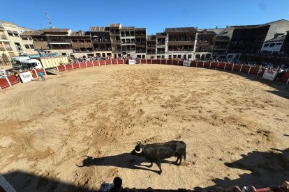 Las fiestas de Nuestra Señora y San Roque de Peñafiel