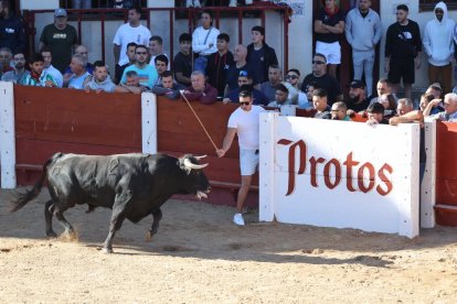 Primer encierro de Peñafiel.