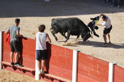 Primer encierro de Peñafiel.