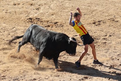 Primer encierro de Peñafiel.