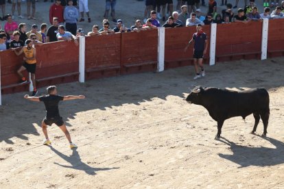 Primer encierro de Peñafiel.