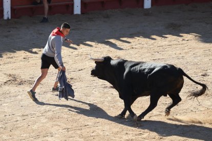 Primer encierro de Peñafiel.