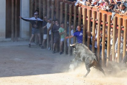 Primer encierro de Peñafiel.