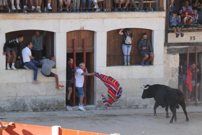 Primer encierro de Peñafiel.