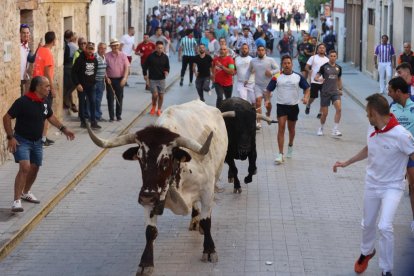 Primer encierro de Peñafiel.