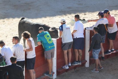 Primer encierro de Peñafiel.