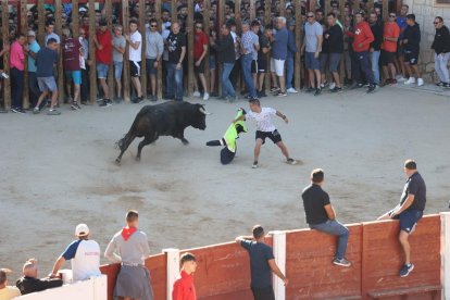 Primer encierro de Peñafiel.