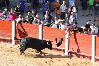 Primer encierro de Peñafiel.