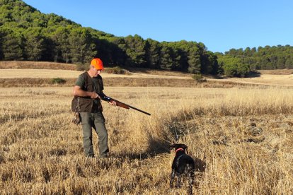 Un cazador con su perro de muestra sobre una codorniz en Simancas.