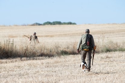 Comienza la media veda de caza en Castilla y León, con buenas expectativas de capturas.