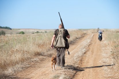 Comienza la media veda de caza en Castilla y León, con buenas expectativas de capturas.