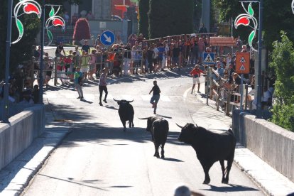 Segundo encierro de Tudela de Duero este viernes.