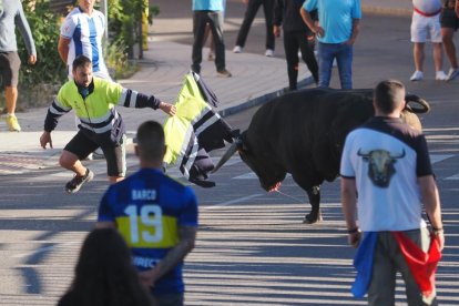 Segundo encierro de Tudela de Duero este viernes.