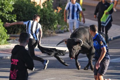 Segundo encierro de Tudela de Duero este viernes.