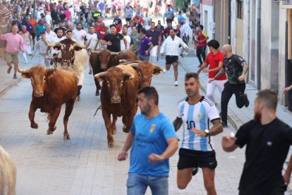 Segundo encierro de las fiestas de Peñafiel.