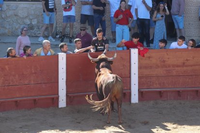 Segundo encierro de las fiestas de Peñafiel.