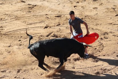 Segundo encierro de las fiestas de Peñafiel.