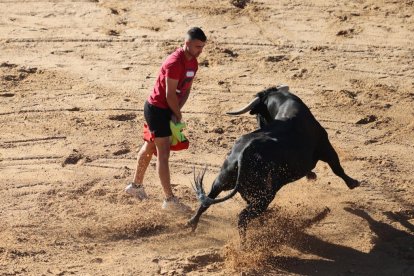 Segundo encierro de las fiestas de Peñafiel.