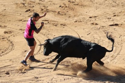 Segundo encierro de las fiestas de Peñafiel.