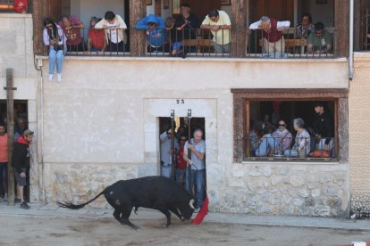 Segundo encierro de las fiestas de Peñafiel.