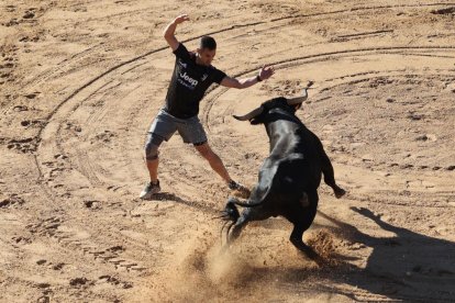 Segundo encierro de las fiestas de Peñafiel.