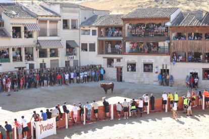 Segundo encierro de las fiestas de Peñafiel.