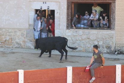 Segundo encierro de las fiestas de Peñafiel.