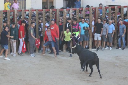 Segundo encierro de las fiestas de Peñafiel.